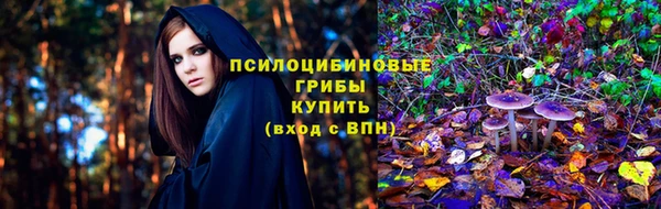 mdpv Михайловск