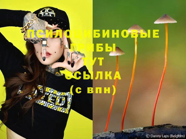а пвп мука Михайловка