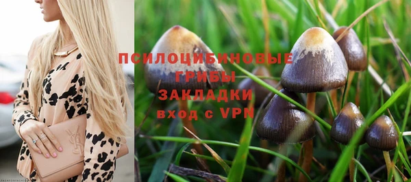 ПСИЛОЦИБИНОВЫЕ ГРИБЫ Магадан