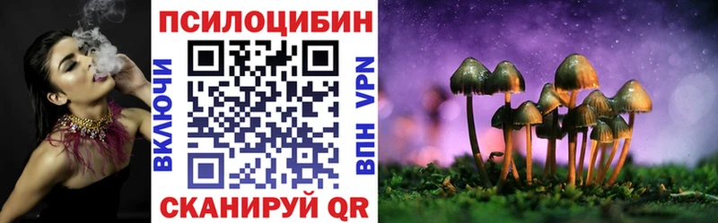 дарк нет формула  Тутаев  Галлюциногенные грибы прущие грибы 