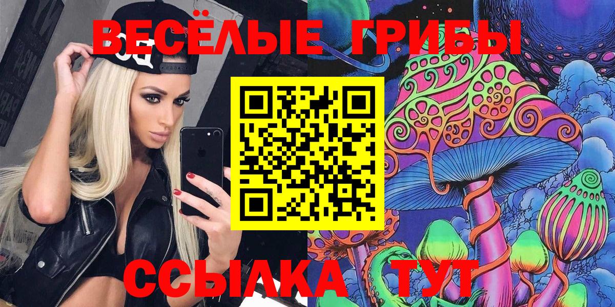 Тутаев  Псилоцибиновые грибы мицелий  Вход с VPN  Псилоцибиновые грибы Cubensis 