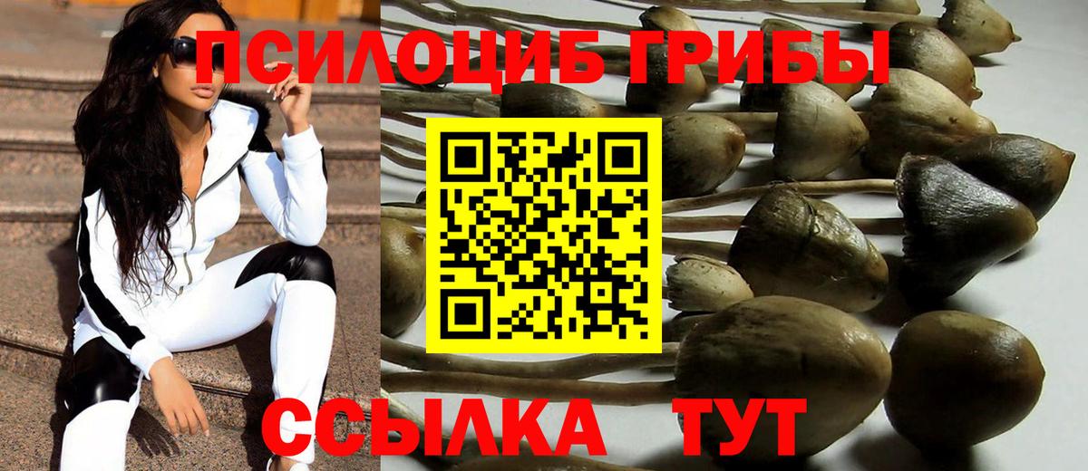 Галлюциногенные грибы MAGIC MUSHROOMS Тутаев